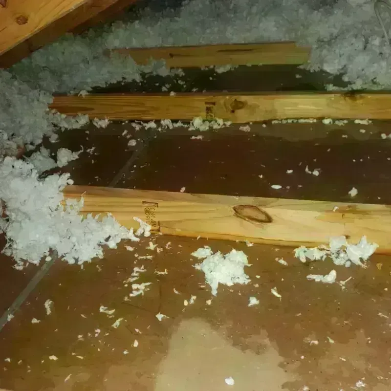 Attic Water Damage in Allyn, WA